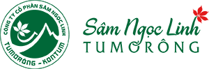 Atuagin.com.vn